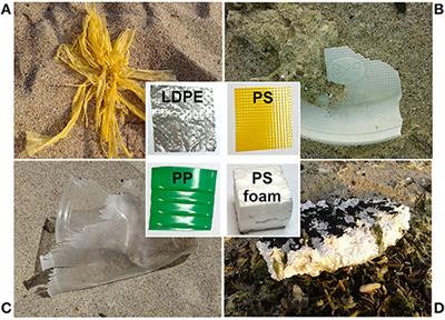 Secondary Microplastics Generation in the Sea Swash Zone With Coarse Bottom Sediments: Laboratory Experiments